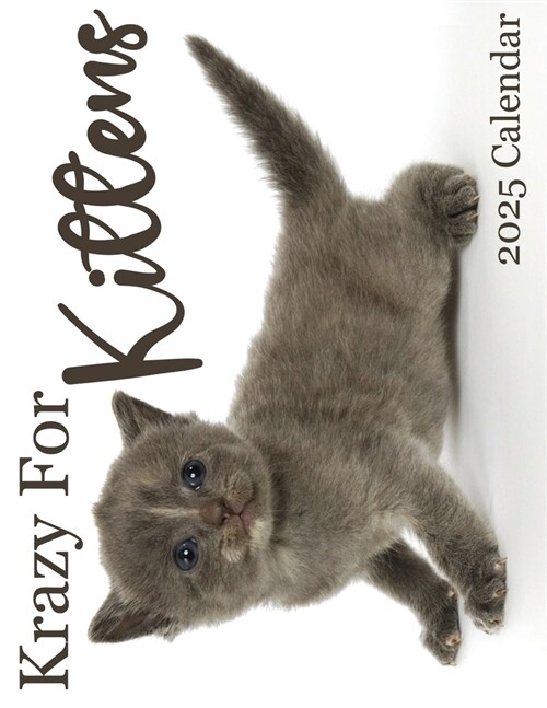 Krazy For Kittens 2025 Calendar: 2025 Calendar (Paperback)