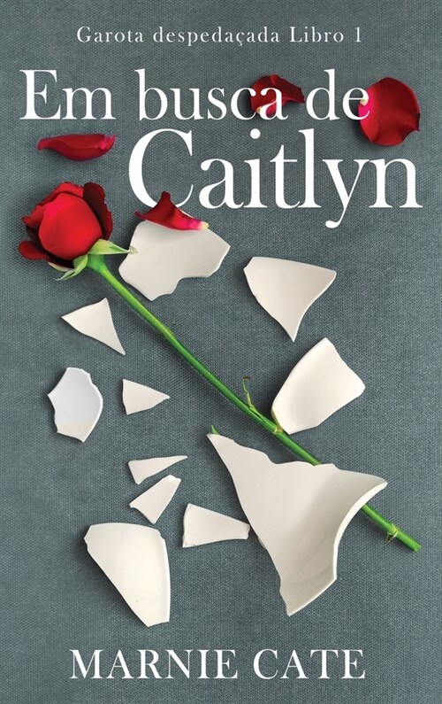 Em busca de Caitlyn (Hardcover)