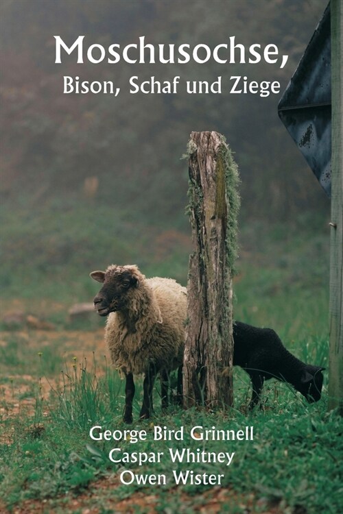 Moschusochse, Bison, Schaf und Ziege (Paperback)