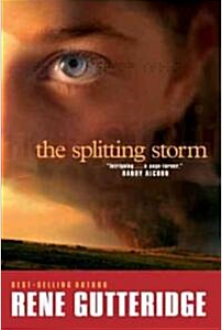 [중고] Splitting Storm (Paperback) Rene Gutteridge (지은이)Heartquest 2004년 (1)