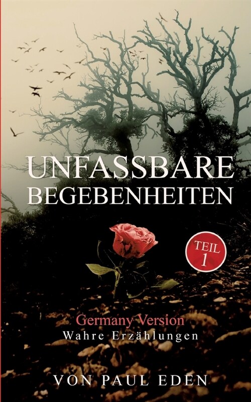 Unfassbare Begebenheiten: Zum Teil wahre Begebenheiten (Paperback)