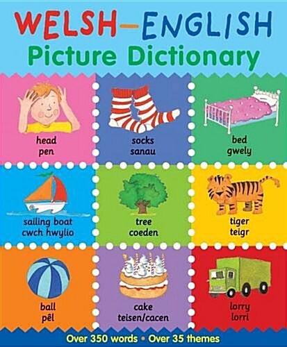 Welsh-English Picture Dictionary (Paperback)