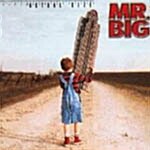 Mr. Big (미스터 빅) / Actual Size