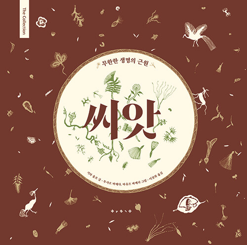 씨앗