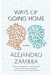 Ways of Going Home (Paperback)