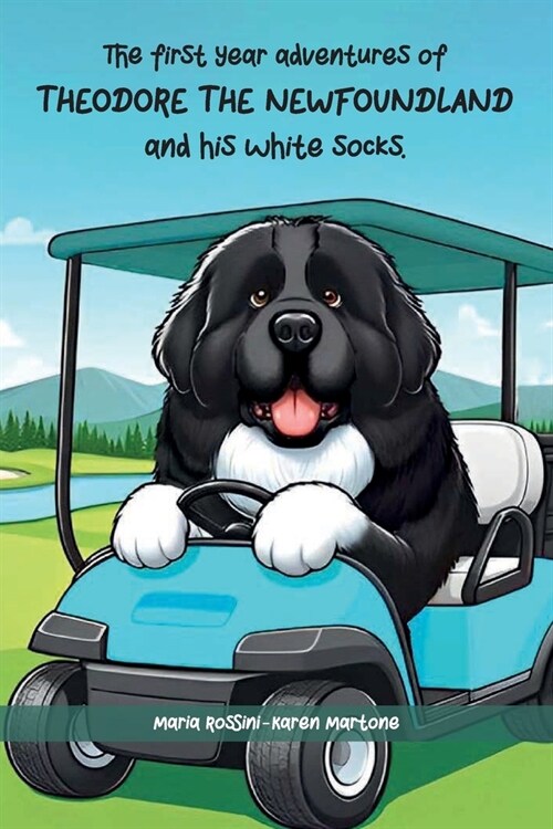 The First Year Adventures Of Theodore The Newfoundland And His White Socks (Paperback)