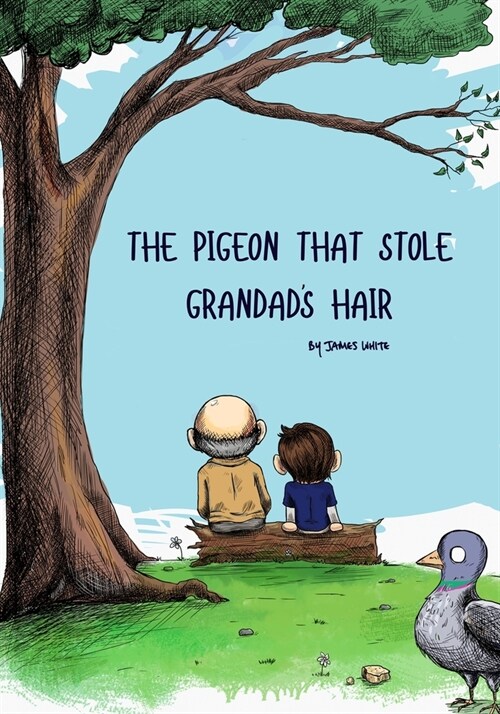 The Pigeon That Stole Grandads Hair (Paperback)