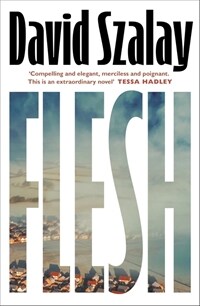 Flesh (Paperback)