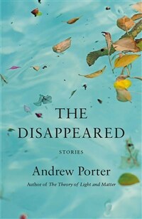The Disappeared: Stories (Paperback)