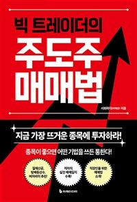 빅 트레이더의 주도주 매매법