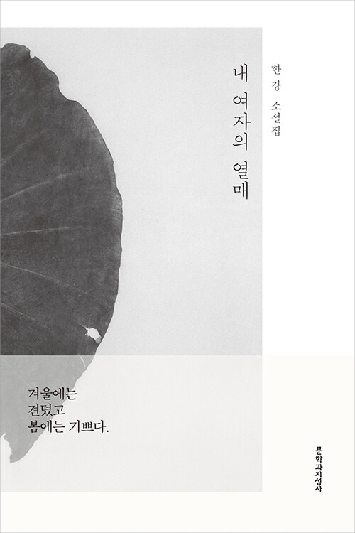 [큰글자도서] 내 여자의 열매