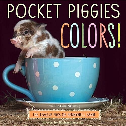 Pocket Piggies Colours (Paperback)