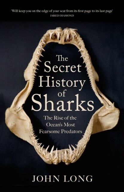 The Secret History of Sharks : The Rise of the Oceans Most Fearsome Predators (Paperback)