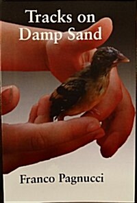 Tracks on Damp Sand (Paperback)