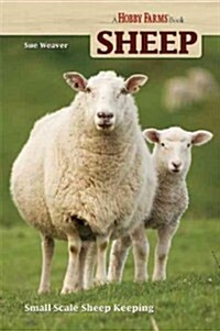 Sheep: Small-Scale Sheep Keeping (Paperback)