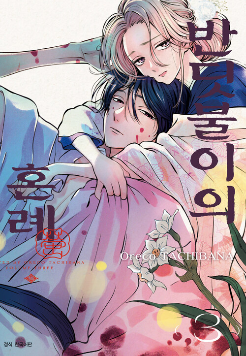 [고화질] 반딧불이의 혼례 03
