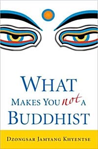 What Makes You Not a Buddhist (Paperback, 1st)