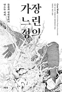 가장 느린 정의