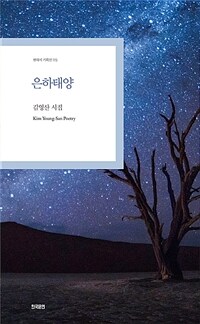 은하태양 : 김영산 시집 표지이미지