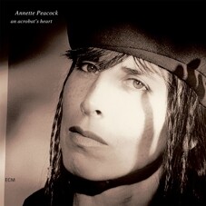 [수입] Annette Peacock - An Acrobat’s Heart (180g 2LP 게이트폴드 팁온 커버)