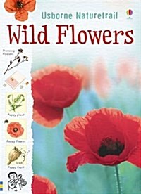 Nature Trail Wild Flowers (Paperback)