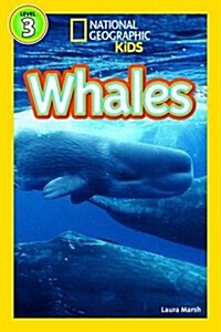 Whales (Paperback)