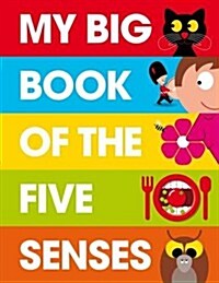 My Big Book of the Five Senses (Hardcover)