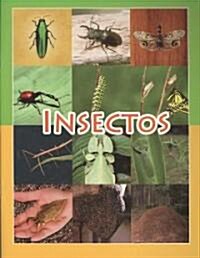Insectos (Paperback, Coleccion Facil)