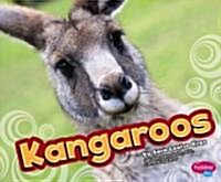 Kangaroos (Library Binding)