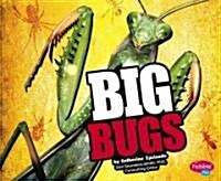 Big Bugs (Library Binding)