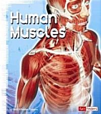 Human Muscles (Paperback)