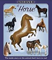 Uncover a Horse (Hardcover)