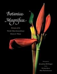 Botanica Magnifica: Portraits of the Worlds Most Extraordinary Flowers & Plants (Hardcover)