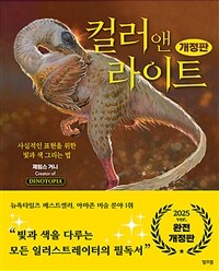 컬러 앤 라이트