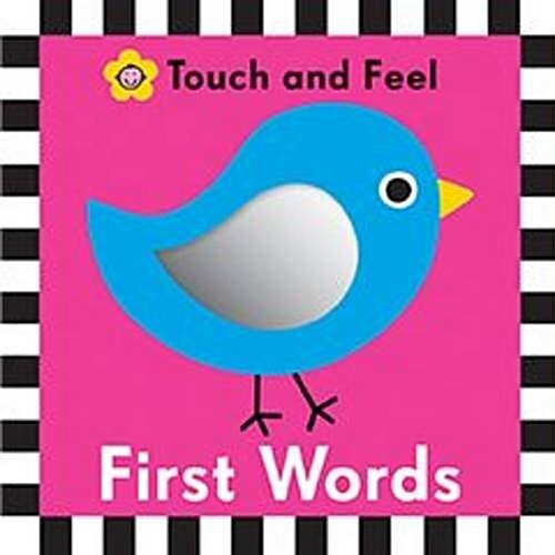 First Words : My First Priddy (Board Book)