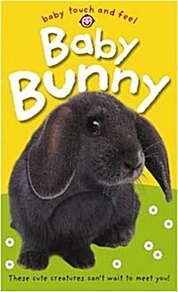 Baby Bunny : Baby Touch & Feel (Board Book)
