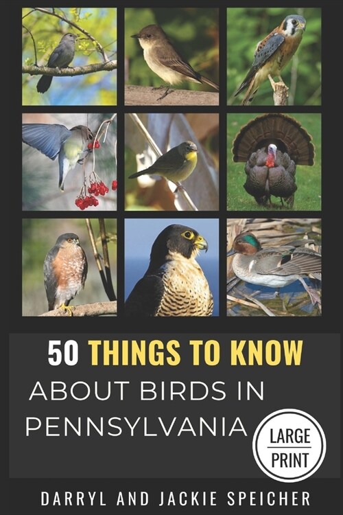 50 Things to Know About Birds in Pennsylvania Large Print: Birding in the Keystone State (Paperback)