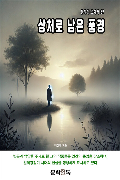 상처로 남은 풍경 커버