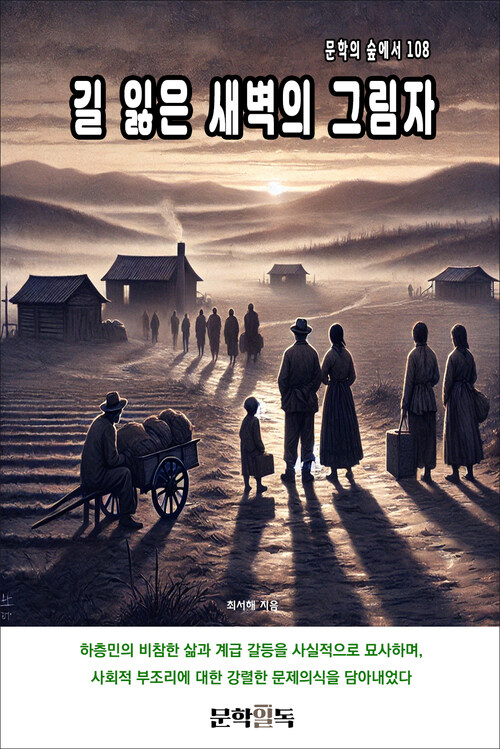 길 잃은 새벽의 그림자 커버