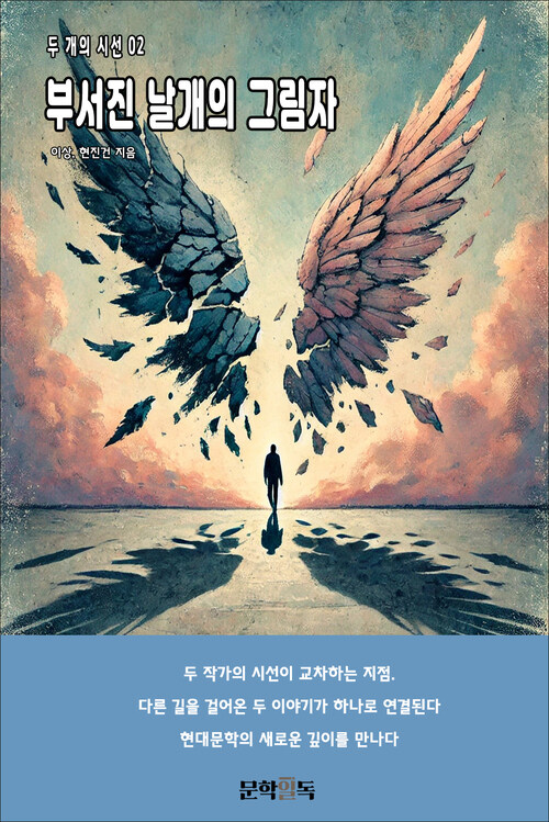 부서진 날개의 그림자 커버