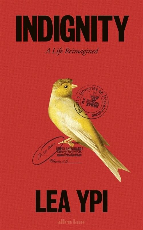 Indignity : A Life Reimagined (Hardcover)