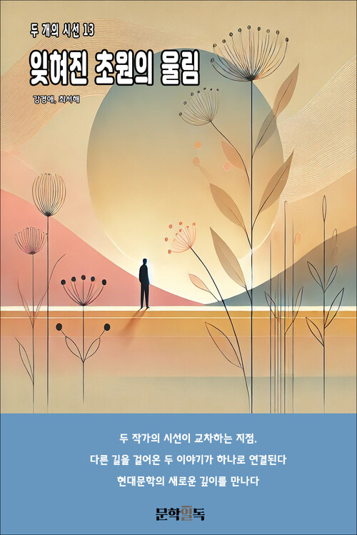 잊혀진 초원의 울림 커버