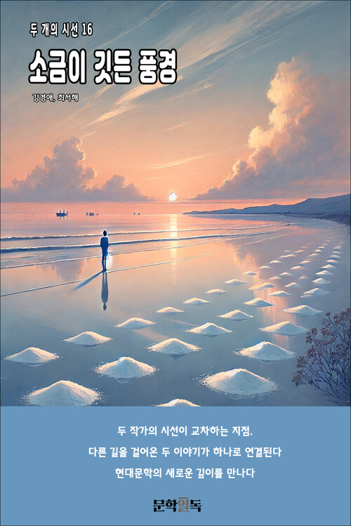 소금이 깃든 풍경 커버