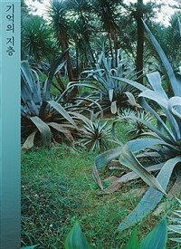 기억의 지층