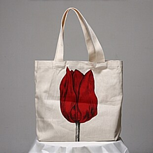 Canvas Bag Fever