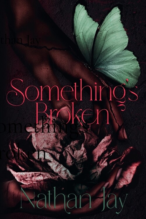 Somethings Broken (Paperback)