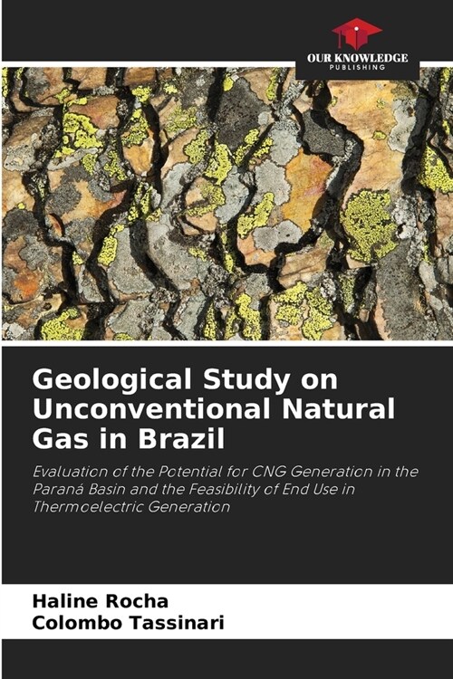 Geological Study on Unconventional Natural Gas in Brazil (Paperback)