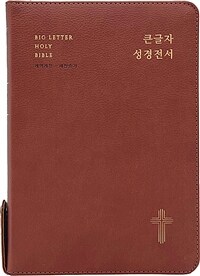[레드브라운] 큰글자 성경전서 개역개정 새찬송가 NKR72EWBU - 대(大).합본.색인