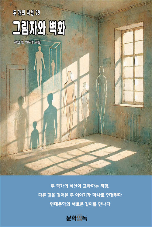 그림자와 벽화 커버