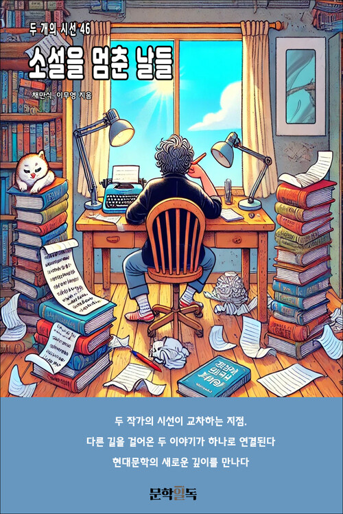 소설을 멈춘 날들 커버